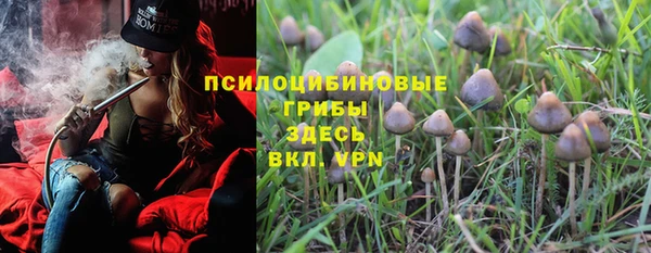 не бодяженный Новозыбков