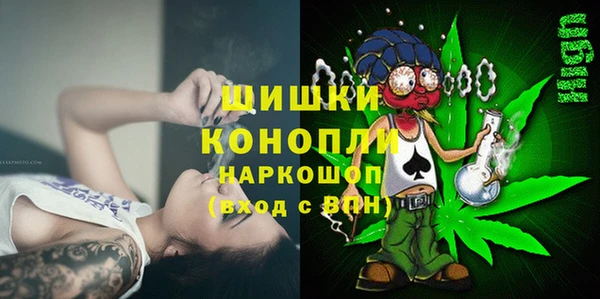 тгк Новодвинск