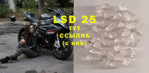 тгк Новодвинск