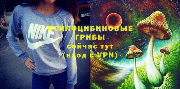 не бодяженный Новозыбков