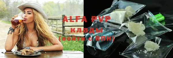 индика Билибино