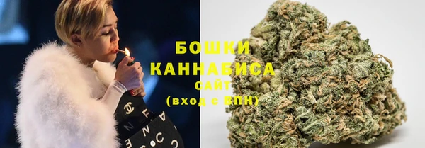 тгк Новодвинск