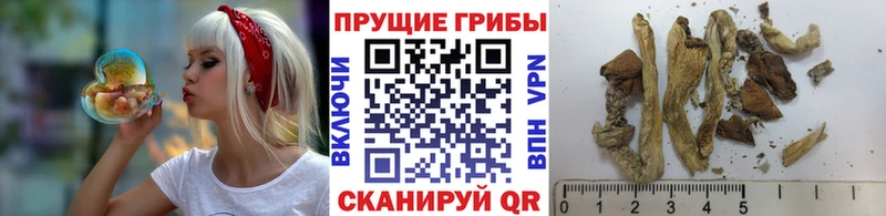 MEGA вход  Ханты-Мансийск  Псилоцибиновые грибы ЛСД 